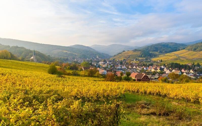 Village of Barr in Vineyard landscape in the region Alsace, France