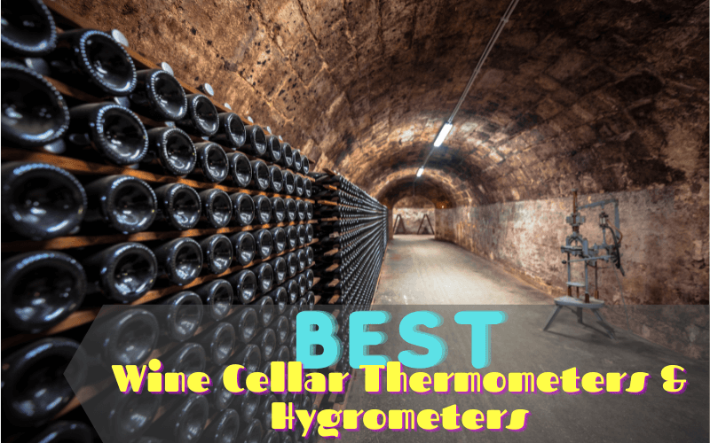 20 Best Wine Cellar Thermometers & Hygrometers In 2023: Reviews & Buyi –  Advanced Mixology