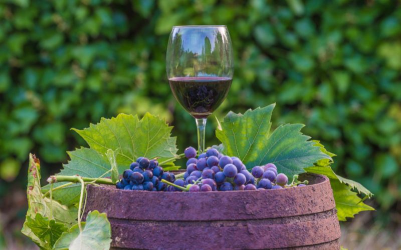 Wine glass and grapes on a barrel