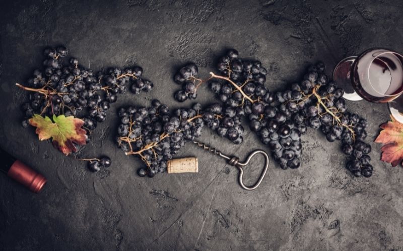 Wine grapes on a dark background