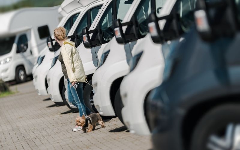 Woman with a dog choosing a used van