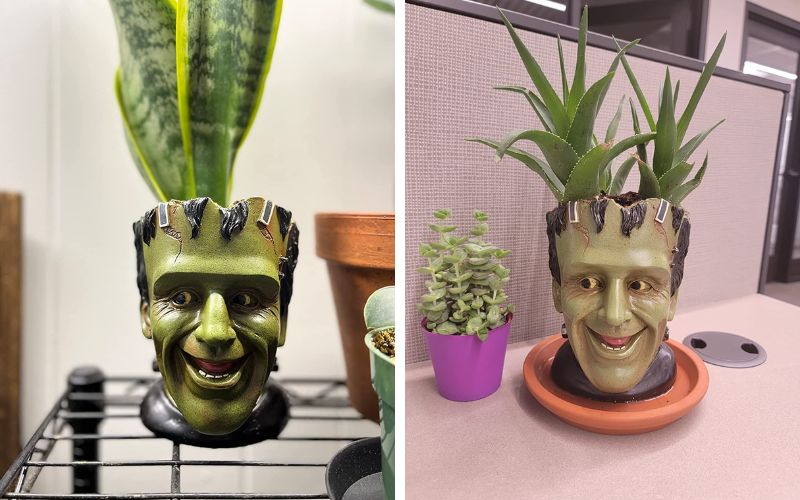Youfui Frankenstein Head Planter
