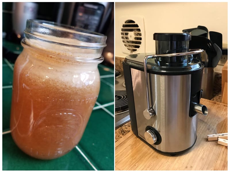 Bagotte Celery Juicer review