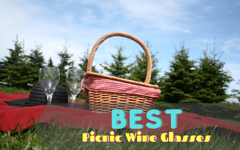 Best Picnic Wine Glasses