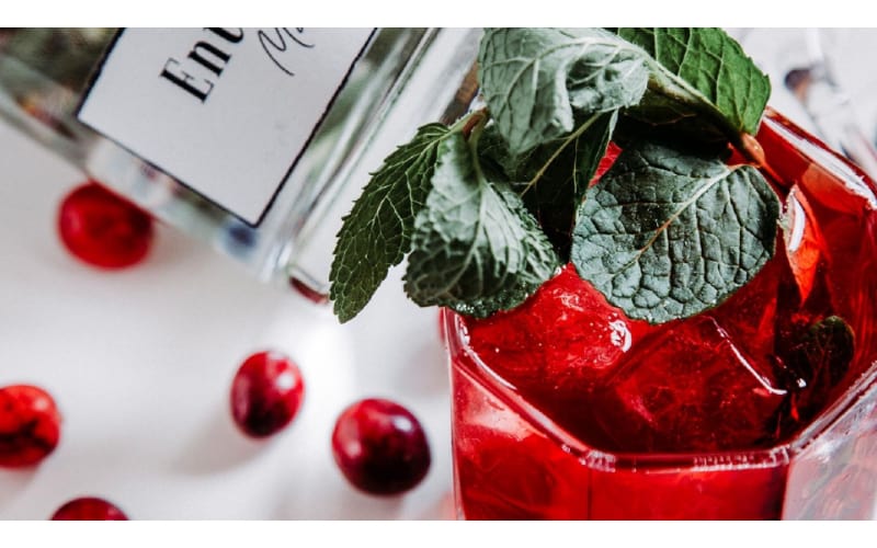 Blood Orange and Pomegranate Syrup Moscow Mule served in a glass and garnished with mint