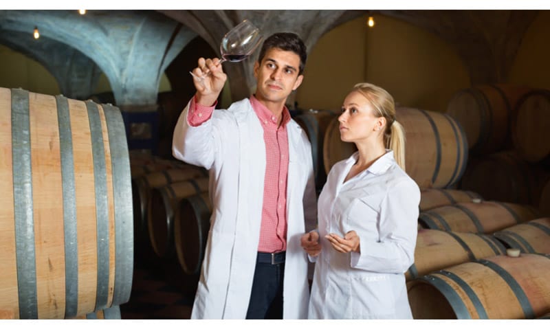 Chemists looking at the aging process of the wine