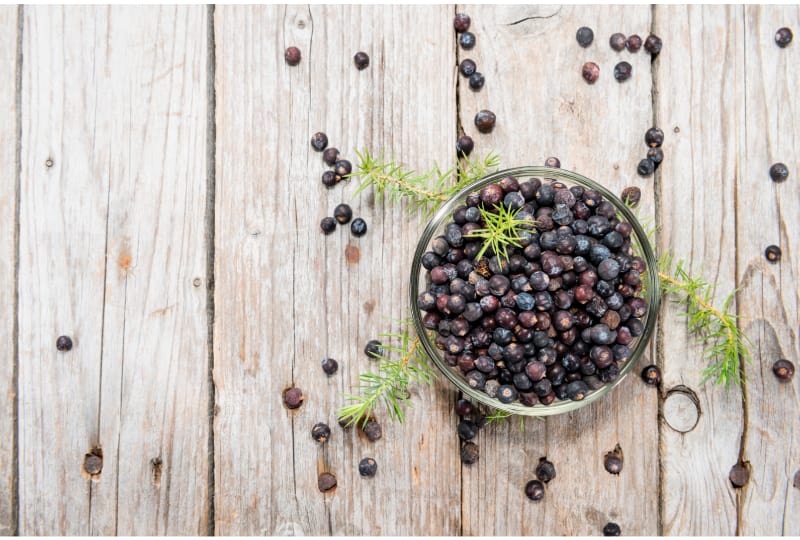 Dried Juniper Berries