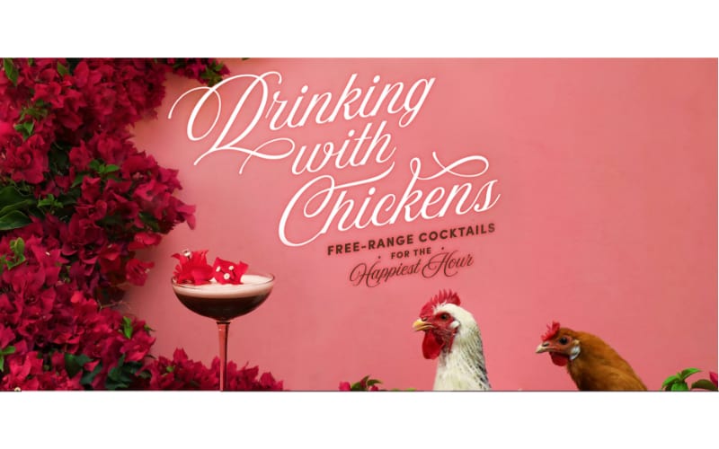 Drinking with Chickens website