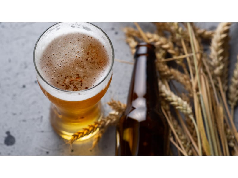 Glass of beer with bottle and wheat on the side