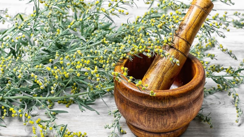 Mortar and pestle with branches of leaves