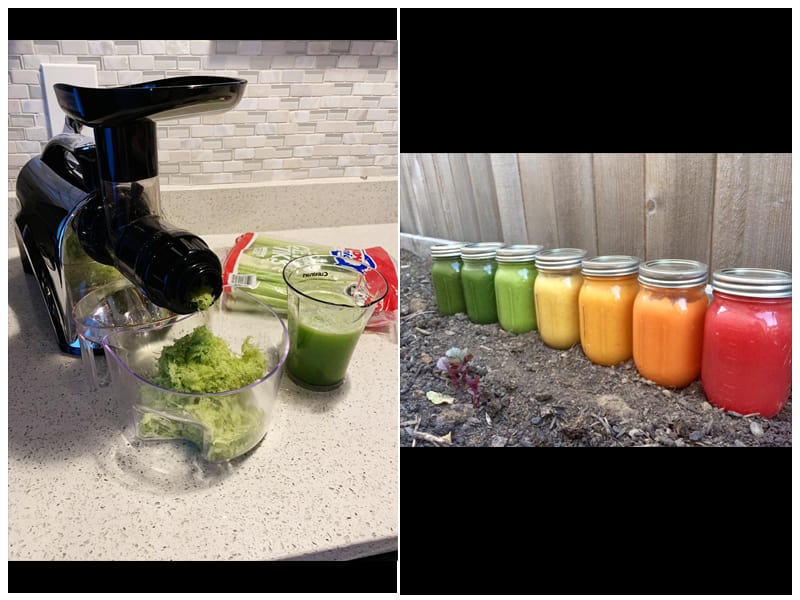 Omega Cold Press Juicer Extractor review