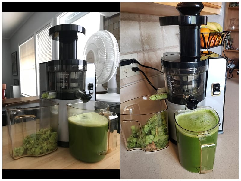 Omega VSJ843QS Masticating Celery Juicer review