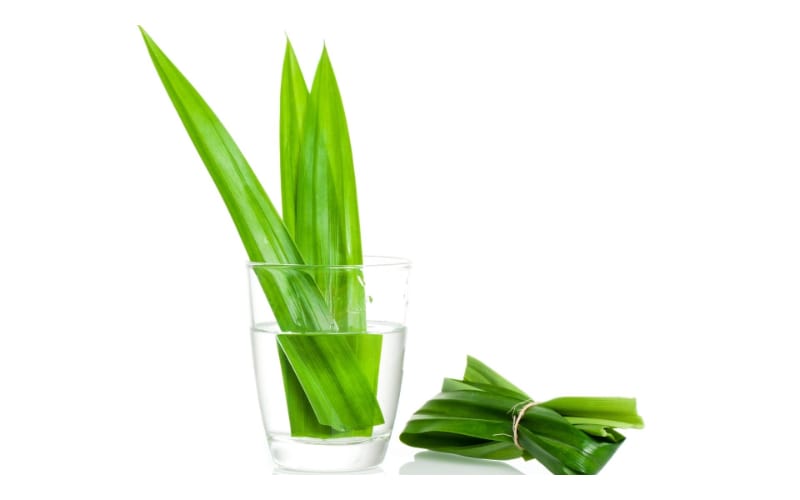 Pandan leaves on glass with water and a tied pandan on the side