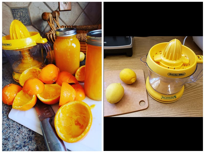  Proctor Silex Alex's Lemonade Citrus Juicer review