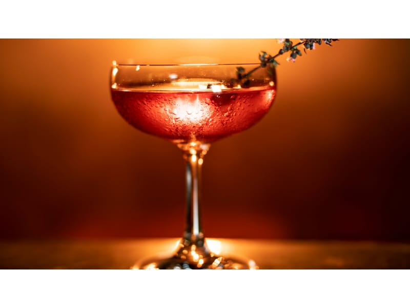 Red Cocktail in Coupe Glass with Sprig Garnish 