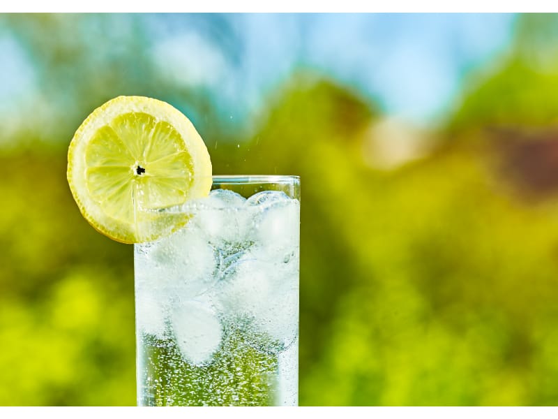 Sparkling Water and Lemon Slice