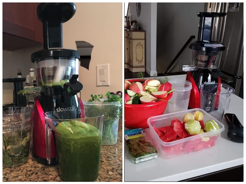 Tribest SW-2000 Slowstar Vertical Masticating Juicer review