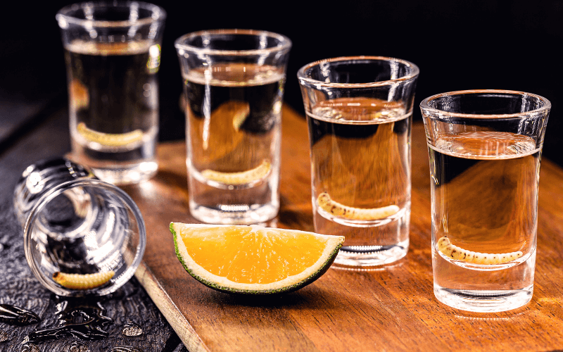 Shot of mezcal