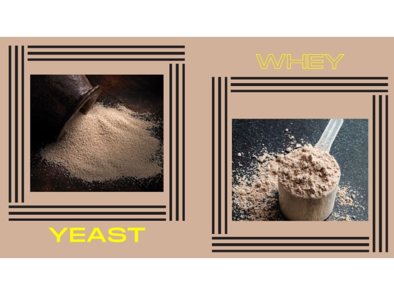 Yeast vs whey
