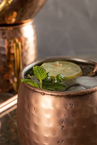 ARTISANS VILLAGE Moscow Mule Copper Mugs: Set of 4 Stainless Steel Lined Copper mugs (16 oz), 4 Straws, and a Shot glass