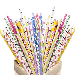 https://cdn.shopify.com/s/files/1/1216/2612/products/hakacc-kitchen-200pack-biodegradable-paper-straws-10-different-pattern-cute-cool-juices-shakes-cake-pops-iced-coffee-party-supplies-and-diy-decorations-29011255033919_250x250.jpg?v=1644353756