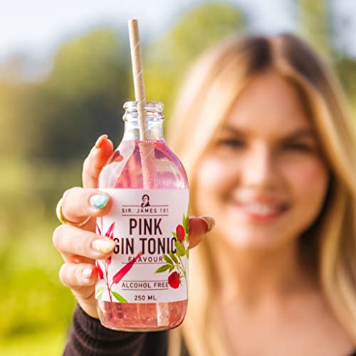 Sir. James 101 Pink Gin and Tonic | Alcohol-Free Beverage (12-Pack)