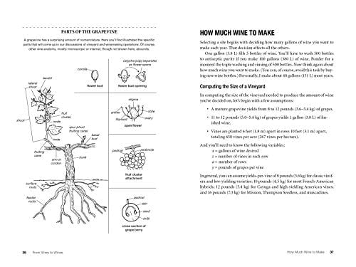 From Vines to Wines, 5th Edition: The Complete Guide to Growing Grapes and Making Your Own Wine