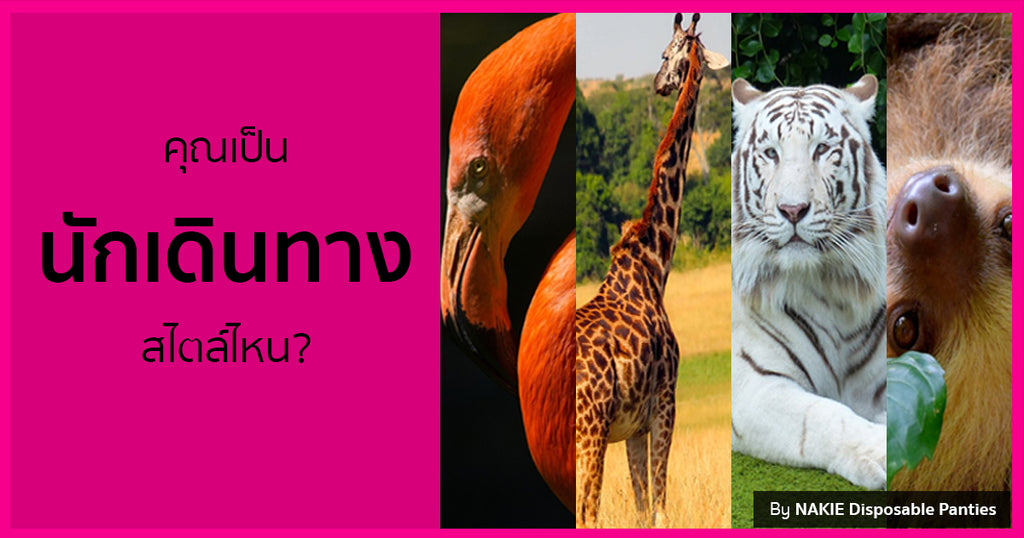 สไตล์การเที่ยวของคุณเหมือนสัตว์ชนิดไหน