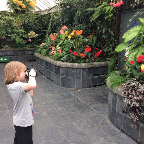 Odin photographing plants at botanical gardens
