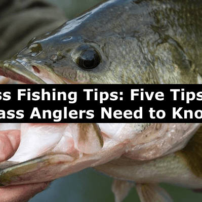 Bass Fishing Tips