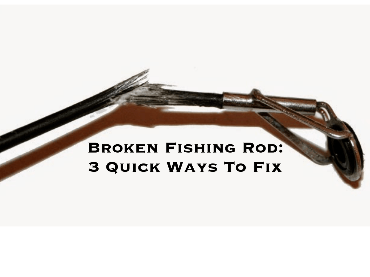How To Replace A Fishing Rod Tip Top Easy Peasy!, 59% OFF