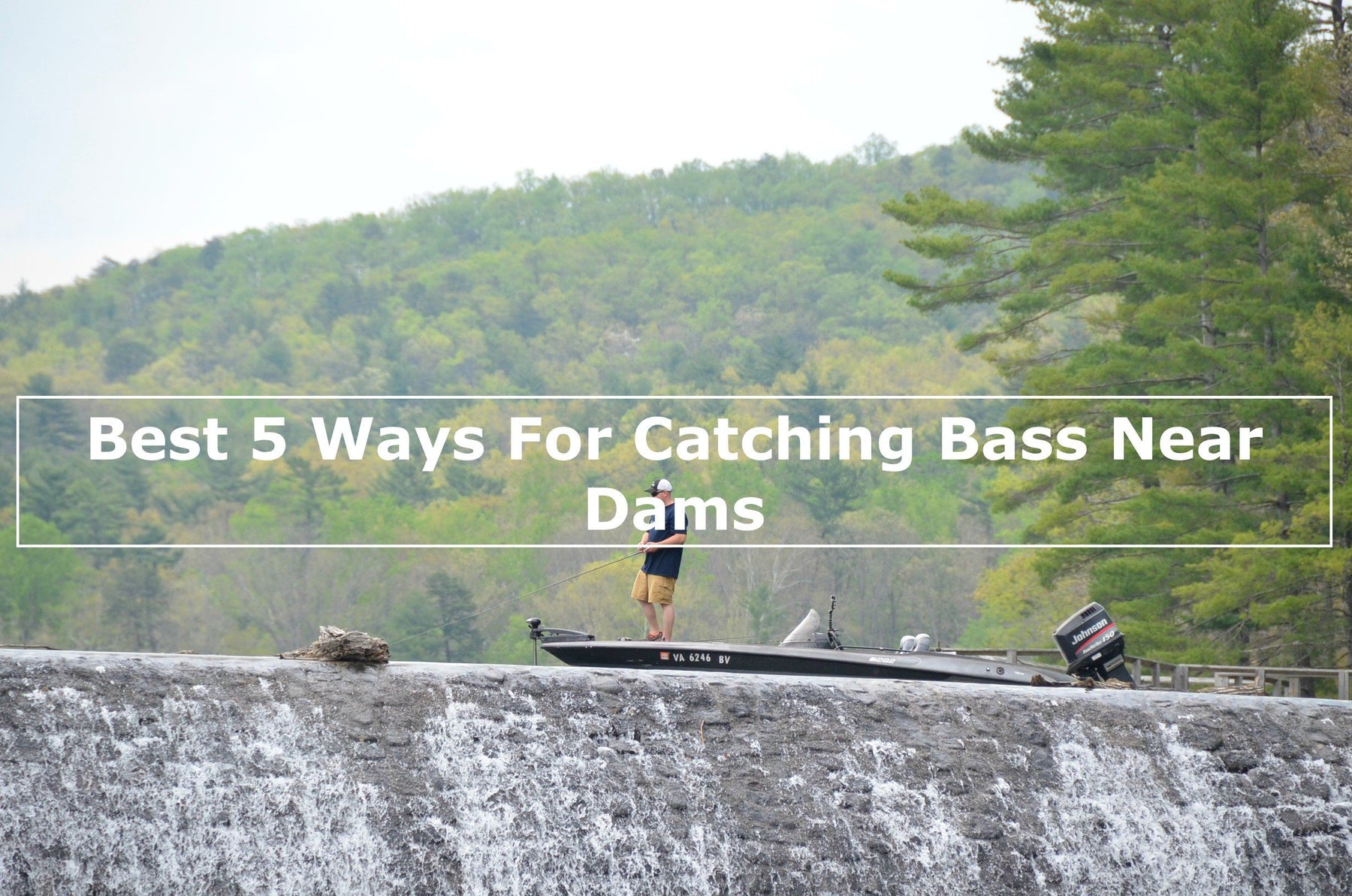 Best 5 Ways For Catching Bass Near Dams