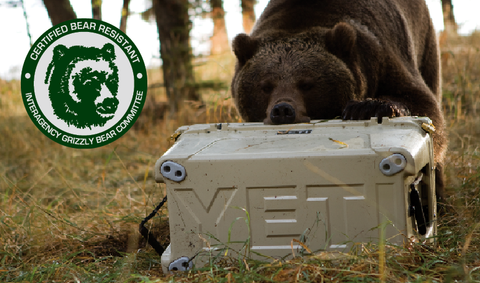 Grizzley Bear Tested Yeti Coolers