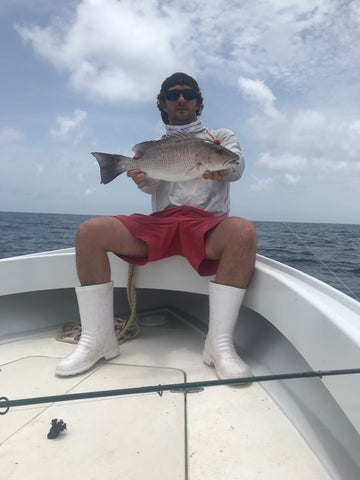 Mangrove Snapper Offshore