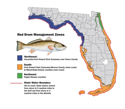 Redfish Regulations By State– Hunting and Fishing Depot