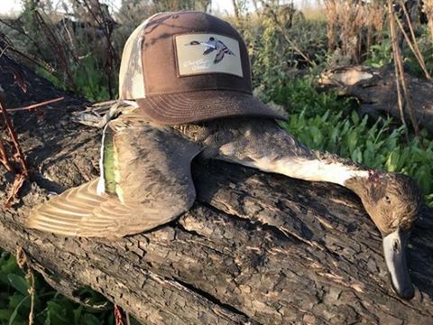 Pintail ECW Hat