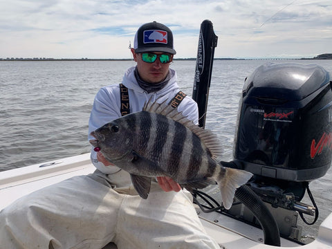 Sheepshead fishing using fiddler crabs on jigheads - Carolina