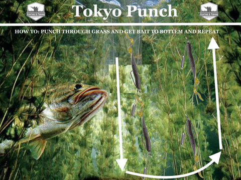 Tokyo Rig: Ultimate Guide For The Tokyo Fishing Rig– Hunting and Fishing  Depot