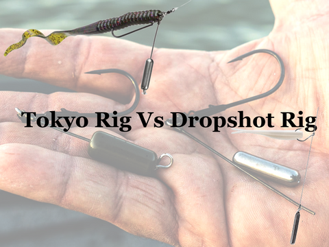 Tokyo Rig Vs Dropshot Rig