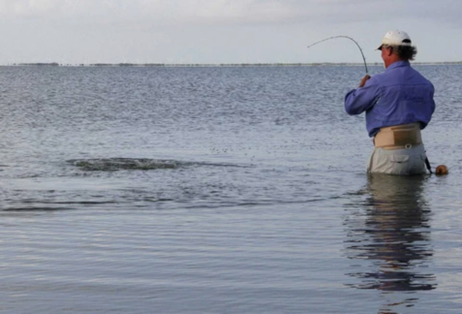 Wade Fishing 101: Inshore fishing Tips To Wade Fish– Hunting and