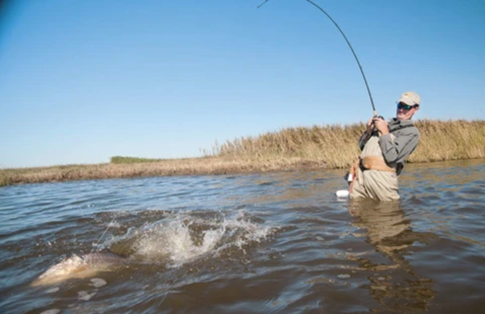 Wade Fishing 101: Inshore fishing Tips To Wade Fish– Hunting and