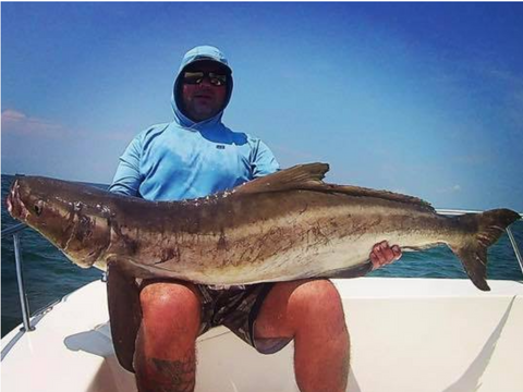 Tips and Tactics for Cobia Fishing– Hunting and Fishing Depot