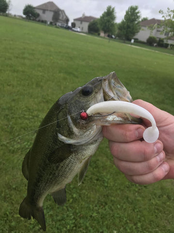 Using the Deadly Ned Rig - On The Water