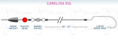 The Carolina Rig For Flounder