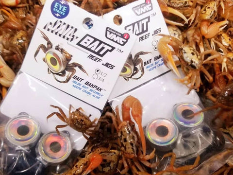 Jail Bait Reef Jigs