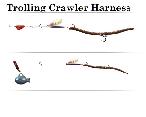 Fishing With Nightcrawlers 101: Best Ways To Rig worms– Hunting