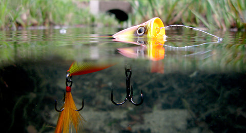 Topwater Bass Fishing Popper