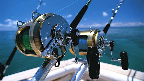 Guide for Buying the best fishing reel for your next fishing trip– Hunting  and Fishing Depot