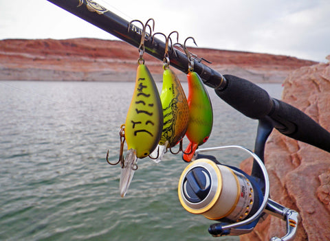 Crankbaits: The Ultimate Bass Fishing Lure– Hunting and Fishing Depot