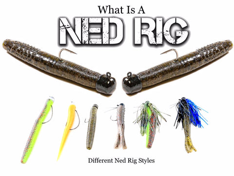 Ned Rig 101: The Best Ned Rigging Tips On The Internet– Hunting